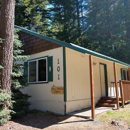 Hall Creek Cabin Packwood Eksteriør bilde
