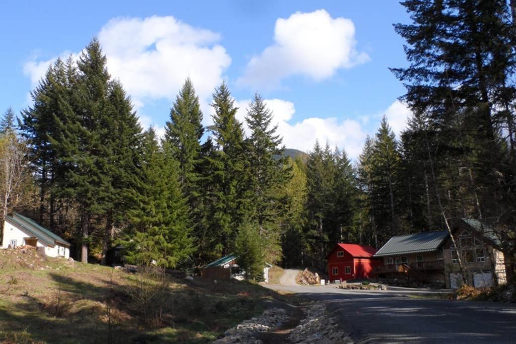 Hall Creek Cabin Packwood Eksteriør bilde