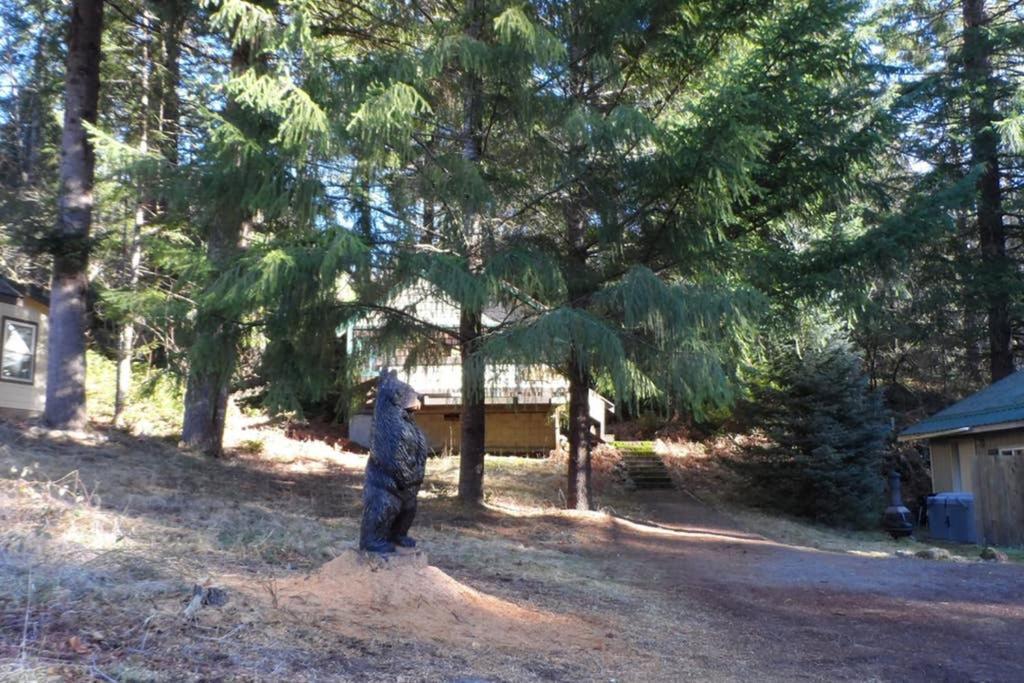 Hall Creek Cabin Packwood Eksteriør bilde