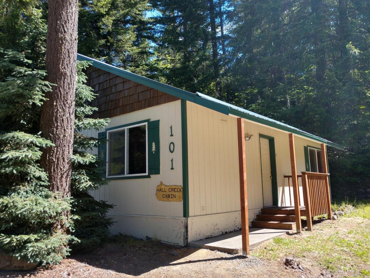 Hall Creek Cabin Packwood Eksteriør bilde