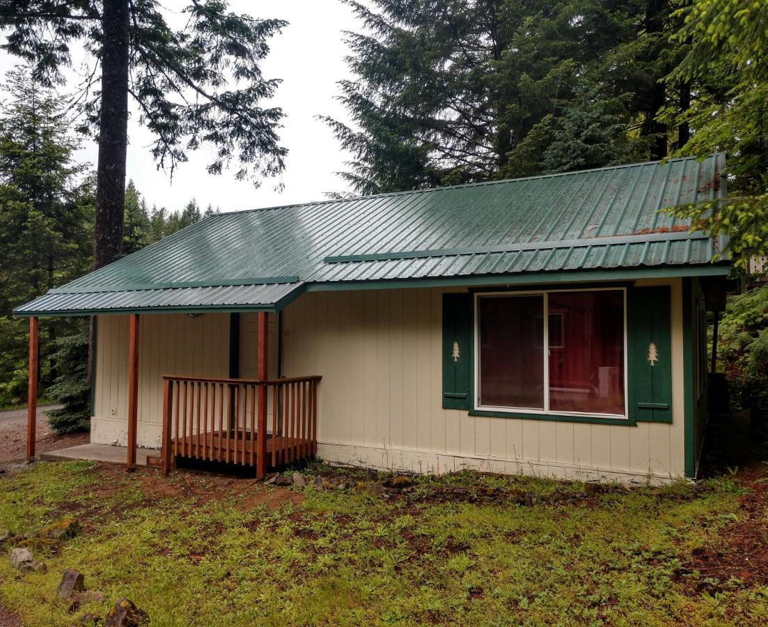 Hall Creek Cabin Packwood Eksteriør bilde
